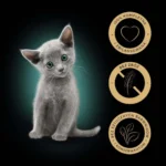 Sheba Selection Υγρή Τροφή για Ανήλικες Γάτες σε Φακελάκι με Κοτόπουλο χωρίς Γλουτένη 85gr