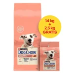 Dog Chow 2.5kg Ξηρά Τροφή χωρίς Γλουτένη για Ενήλικους Σκύλους με Σολομό