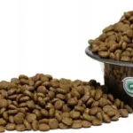 Nature's Protection 10kg Ξηρά Τροφή χωρίς Γλουτένη για Ενήλικους Σκύλους Μικρόσωμων Φυλών με Αρνί