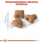 Royal Canin Regular Sensible 33 Ξηρά Τροφή χωρίς Γλουτένη για Ενήλικες Γάτες με Ευαίσθητο Γαστρεντερικό με Πουλερικά 10kg