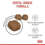 Royal Canin Oral Care Ξηρά Τροφή για Ενήλικες Στειρωμένες Γάτες με Πουλερικά / Ρύζι 1.5kg