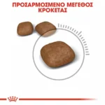 Royal Canin Care Urinary Ξηρά Τροφή για Ενήλικες Γάτες με Ευαίσθητο Ουροποιητικό με Πουλερικά 0.4kg