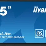 Iiyama Prolite Public Display 65"