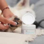 VetExpert Paw Protection Κρέμα για Πατούσες Σκύλου 75ml