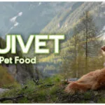 Arquivet Fresh 10kg Ξηρά Τροφή Διαίτης, χωρίς Σιτηρά & Γλουτένη για Ηλικιωμένους Σκύλους με Γαλοπούλα και Ψάρια