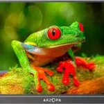 Arzopa A1T IPS Φορητό Monitor 15.6" FHD 1920x1080