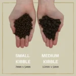 Eden 6kg Ξηρά Τροφή για Κουτάβια Μικρόσωμων Φυλών με Σολομό