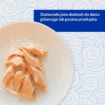 Inaba Grilled Chicken Extra Tender Fillet Λιχουδιές Σνακ για Ενήλικες Γάτες 25gr EU054