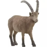 Schleich-S Wild Life για 3-8 Ετών 9.2εκ. 14873