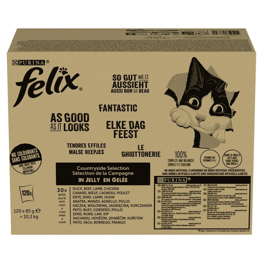 20250505165114_purina_ygri_trofi_gia_gates Felix Υγρή Τροφή για Γάτες 85gr - Image 1