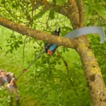 Gardena Starcut Pro L Τηλεσκοπικό Κονταροπρίονο 1.72m με Λάμα 48cm
