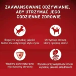Purina One Υγρή Τροφή Σκύλων σε Φακελάκι με Βοδινό και Κρέας χωρίς Γλουτένη 85gr