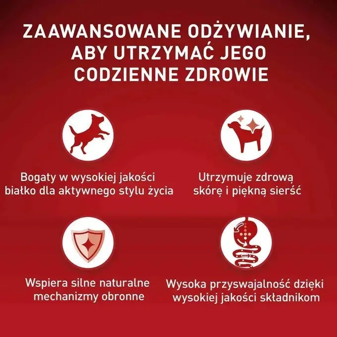 20250522120945_6a7462f6 Purina One Υγρή Τροφή Σκύλων σε Φακελάκι με Βοδινό και Κρέας χωρίς Γλουτένη 85gr - Image 1