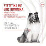 Royal Canin Skin & Coat Chews Συμπλήρωμα Διατροφής Σκύλου σε Έλαιο για Δέρμα & Τρίχωμα