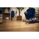 Schleich-S Παιχνίδι Μινιατούρα για 4+ Ετών 15048