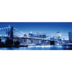 Ravensburger Puzzle Panorama Shining New York 1000 Pieces