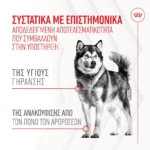 Royal Canin Joint & Ageing Chews Λιχουδιά Σκύλου 240gr για Αρθρώσεις
