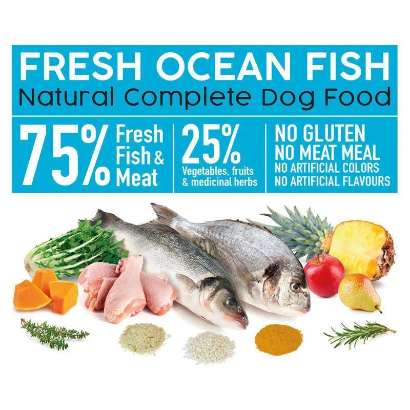 20250717171845_27d927c5 Arquivet Fresh 10kg Ξηρά Τροφή Σκύλων χωρίς Γλουτένη με Ψάρια - Image 1