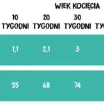 Wiejska Zagroda 1.6kg Ξηρά Τροφή Σκύλων χωρίς Σιτηρά με Κοτόπουλο, Σολομό, Κρέας, Πουλερικά, Ψάρια, Βοδινό, Συκώτι και Λαχανικά