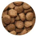 Dr. John Hypoallergenic 12.5kg Ξηρά Τροφή για Ενήλικους Σκύλους με Αρνί και Ρύζι