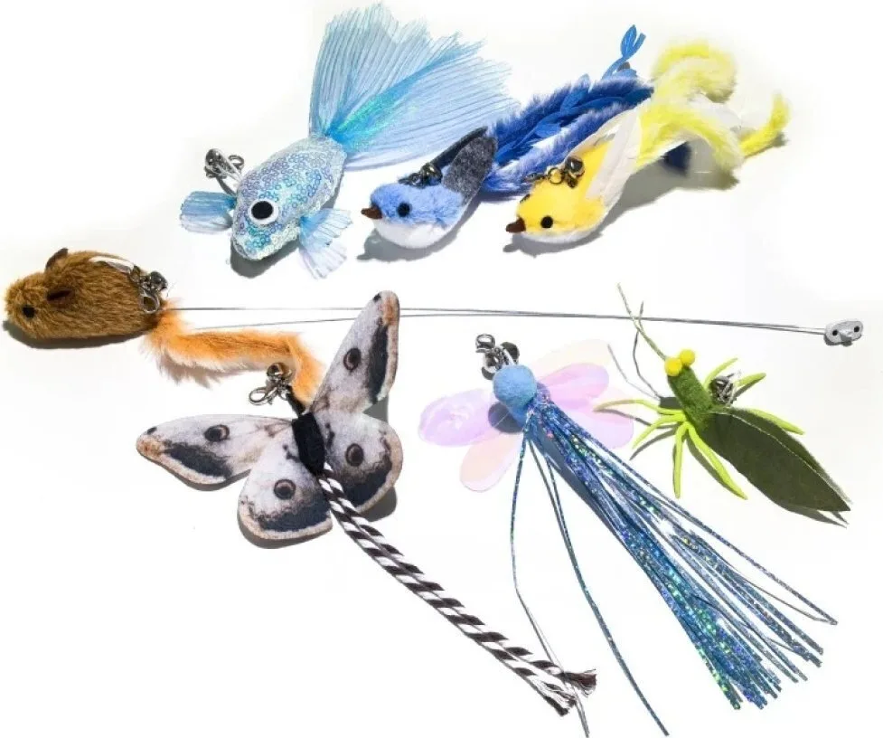 20250911004744_enabot_interaction_toy_tips_rola_mini_intelligent_companion_robot_wh287377 Enabot Interaction Toy Tips Rola Mini Intelligent Companion Robot Wh287377 - Image 1