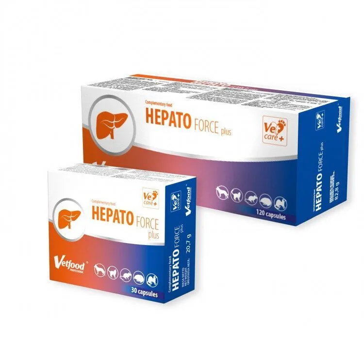 20250911155709_8f058aaf Vetfood Συμπλήρωμα Διατροφής Σκύλου σε Κάψουλες για Ηπατικές Παθήσεις - Image 1
