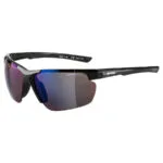 Alpina Defey HR Unisex Γυαλιά Ηλίου με Κοκκάλινο Σκελετό Black A8657332