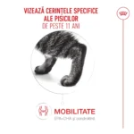 Royal Canin Ageing Υγρή Τροφή για Ηλικιωμένες Γάτες σε Φακελάκι με Κρέας 12x85gr
