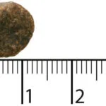 Bozita 11kg Ξηρά Τροφή Σκύλων χωρίς Σιτηρά με Αρνί