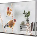 LG 55EW5P-M Public Display OLED 55"