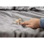 Μινιατούρα Αρκτικός Λύκος Μωρό Schleich-s #sc14881