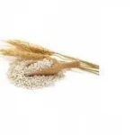 Josera Optiness 3kg Ξηρά Τροφή για Ενήλικους Σκύλους με Ρύζι και Αρνί