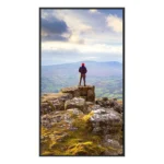Sharp S55306081 Public Display 43"