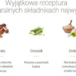 Josera 12.5kg Ξηρά Τροφή χωρίς Σιτηρά για Ενήλικους Σκύλους Μεσαίων & Μεγαλόσωμων Φυλών με Πατάτες, Κρέας, Πουλερικά, Μήλο και Σολομό
