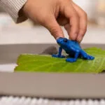 Schleich-S Blue Poison Dart Frog για 3-8 Ετών 5.5εκ. 14864