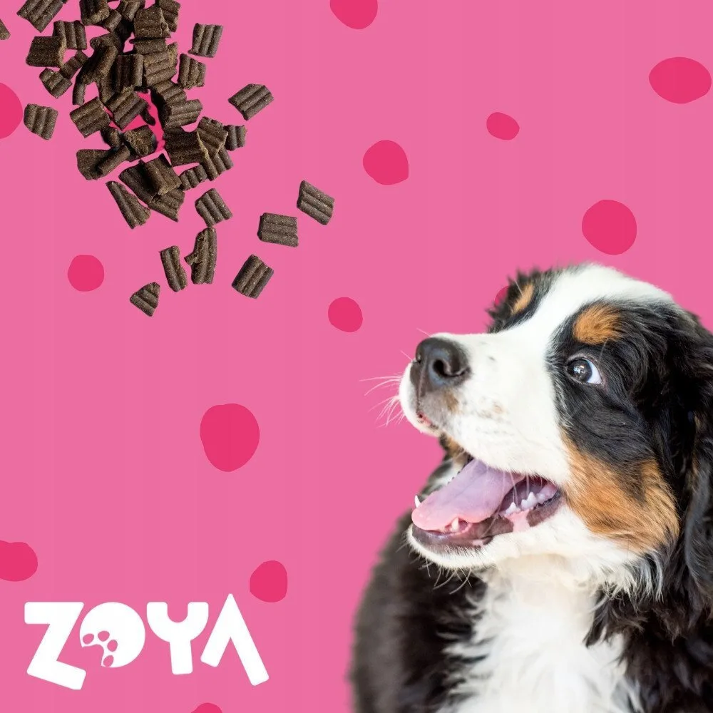 20251121105229_6ebe40fa Zoya 9kg Ξηρά Τροφή Σκύλων με Βοδινό - Image 1