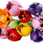 LEGO Botanical Collection Tulip Bouquet για 18+ Ετών 576τμχ 11501