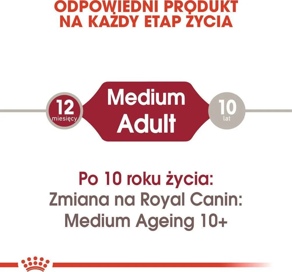 20260112184932_b6795e73 Royal Canin Medium Υγρή Τροφή Σκύλων με Κρέας 10x140gr - Image 1