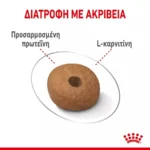 Royal Canin Medium Light Weight Care 3kg Ξηρά Τροφή Διαίτης Στειρωμένων Σκύλων Μεσαίων Φυλών με Πουλερικά και Ρύζι