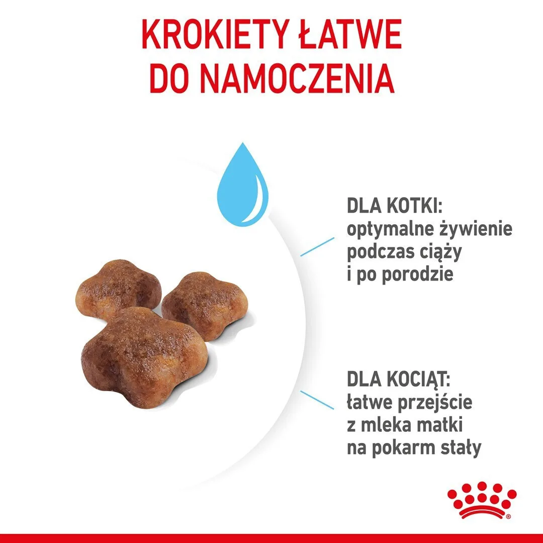 20260116114807_c9d469a7 Royal Canin Mother & Babycat 1-4 Months Ξηρά Τροφή Γάτας με Πουλερικά 4kg - Image 1