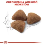 Royal Canin Indoor 27 Ξηρά Τροφή για Ενήλικες Γάτες με Πουλερικά 0.4kg