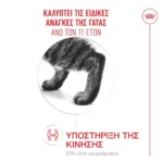 Royal Canin Ageing 11+ Sterilised Ξηρά Τροφή για Ηλικιωμένες Στειρωμένες Γάτες με Πουλερικά 0.4kg