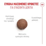 Royal Canin Ageing 11+ Ξηρά Τροφή για Ηλικιωμένες Γάτες με Πουλερικά 2kg
