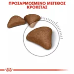 Royal Canin Hairball Care Ξηρά Τροφή για Ενήλικες Γάτες με Πουλερικά 0.4kg