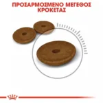 Royal Canin Digestive Care Ξηρά Τροφή για Ενήλικες Γάτες με Ευαίσθητο Γαστρεντερικό με Ψάρια 0.4kg