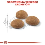 Royal Canin Active Life Outdoor Ξηρά Τροφή για Ενήλικες Γάτες με Πουλερικά 0.4kg