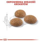 Royal Canin Active Life Outdoor Ξηρά Τροφή για Ενήλικες Γάτες με Πουλερικά 4kg
