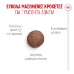 Royal Canin Ageing 15+ Ξηρά Τροφή για Ηλικιωμένες Γάτες 0.4kg