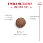 Royal Canin Ageing 11+ Sterilised Ξηρά Τροφή για Ηλικιωμένες Στειρωμένες Γάτες με Πουλερικά 2kg