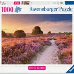 Pink Pathway Puzzle 2D 1000pcs